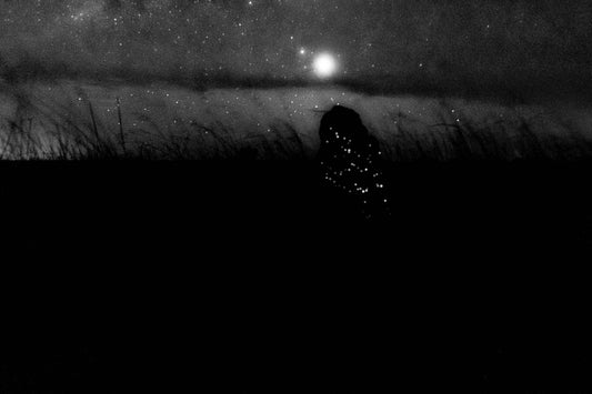 Cupinzeiros Bioluminescentes 5