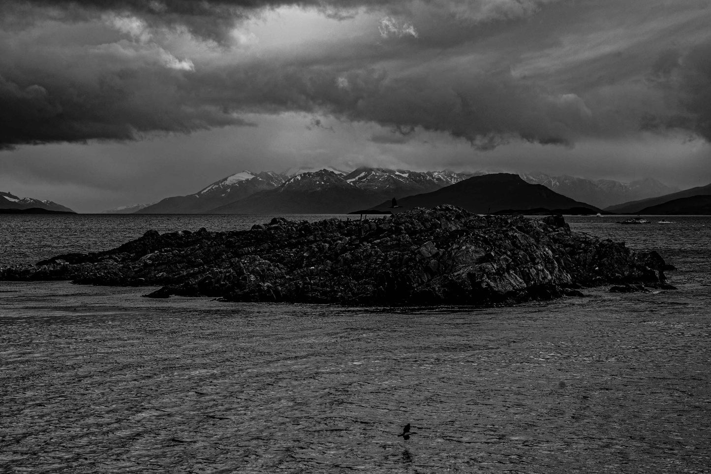 Canal de Beagle - Isla