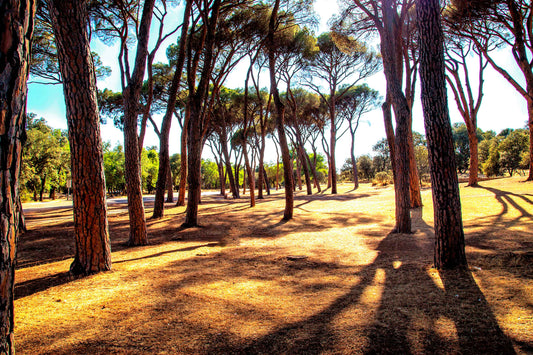 Madrid - Casa de Campo