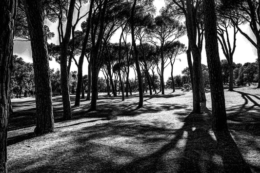 Madrid - Casa de Campo