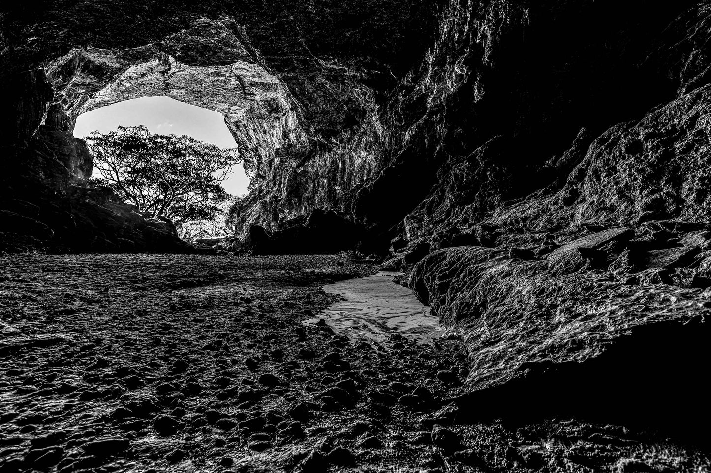 Parque Terra Ronca - Caverna Terra Ronca