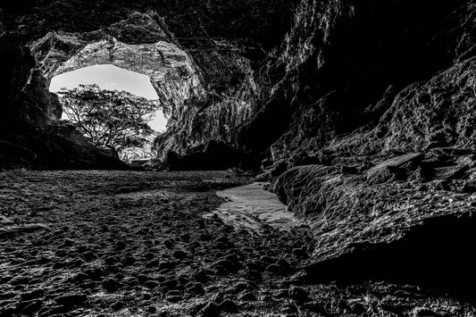 Parque Terra Ronca - Caverna Terra Ronca