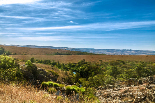 Serra da Canastra - Chapadão do Diamante