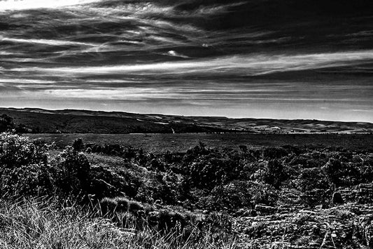Serra da Canastra - Chapadão do Diamante