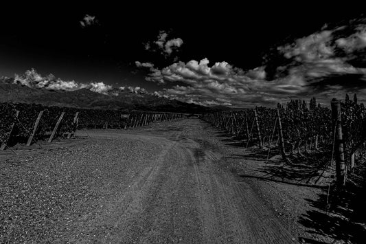 Vinicolas - Familia Zuccardi