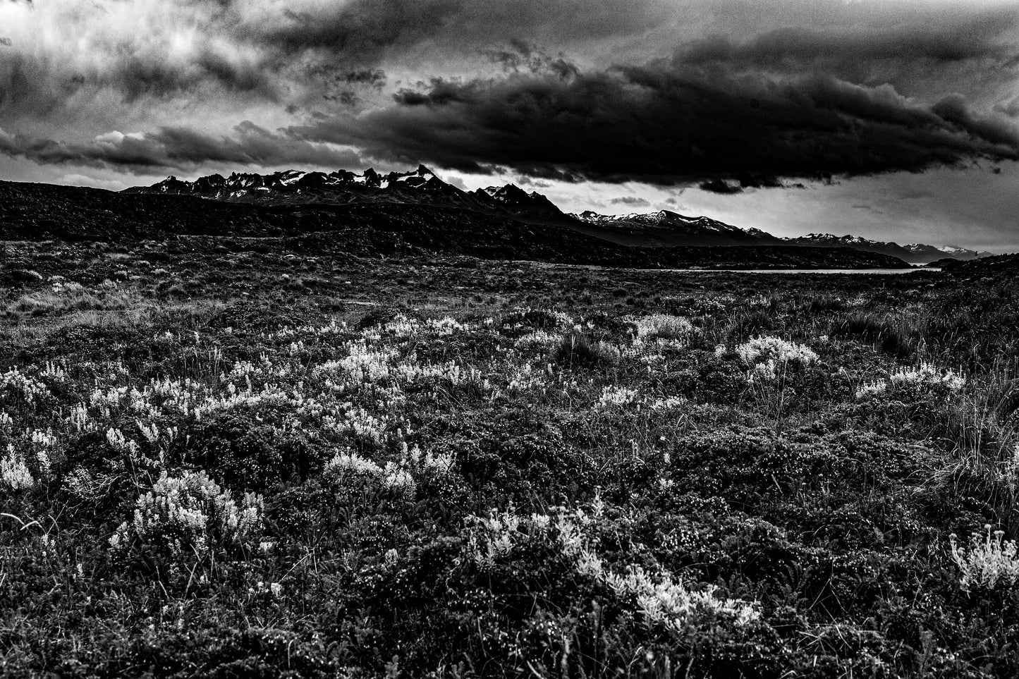 Canal de Beagle - Isla Bridges 1