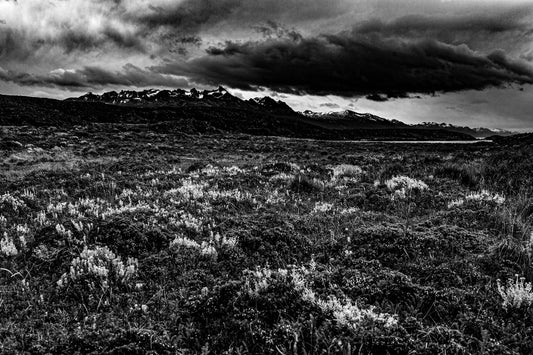 Canal de Beagle - Isla Bridges 1