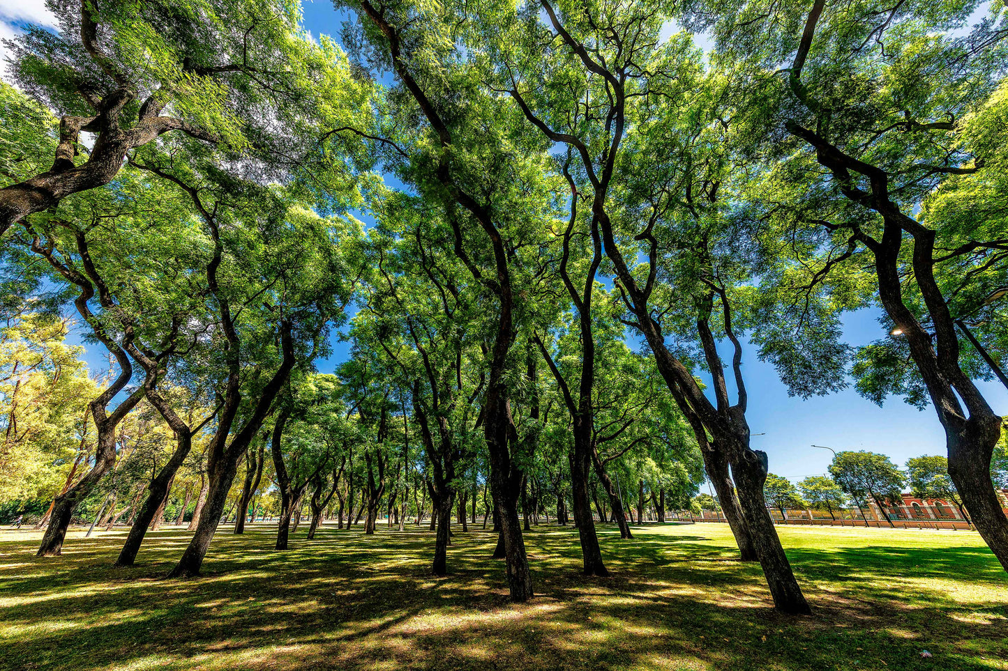 Buenos Aires - Lago de Regatas