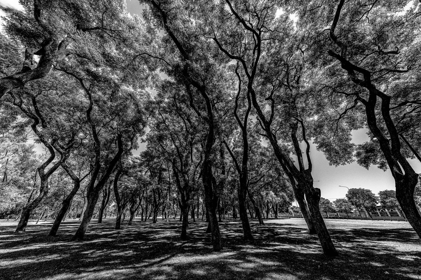Buenos Aires - Lago de Regatas