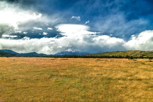 Torres del Paine - Margem Rio Grey