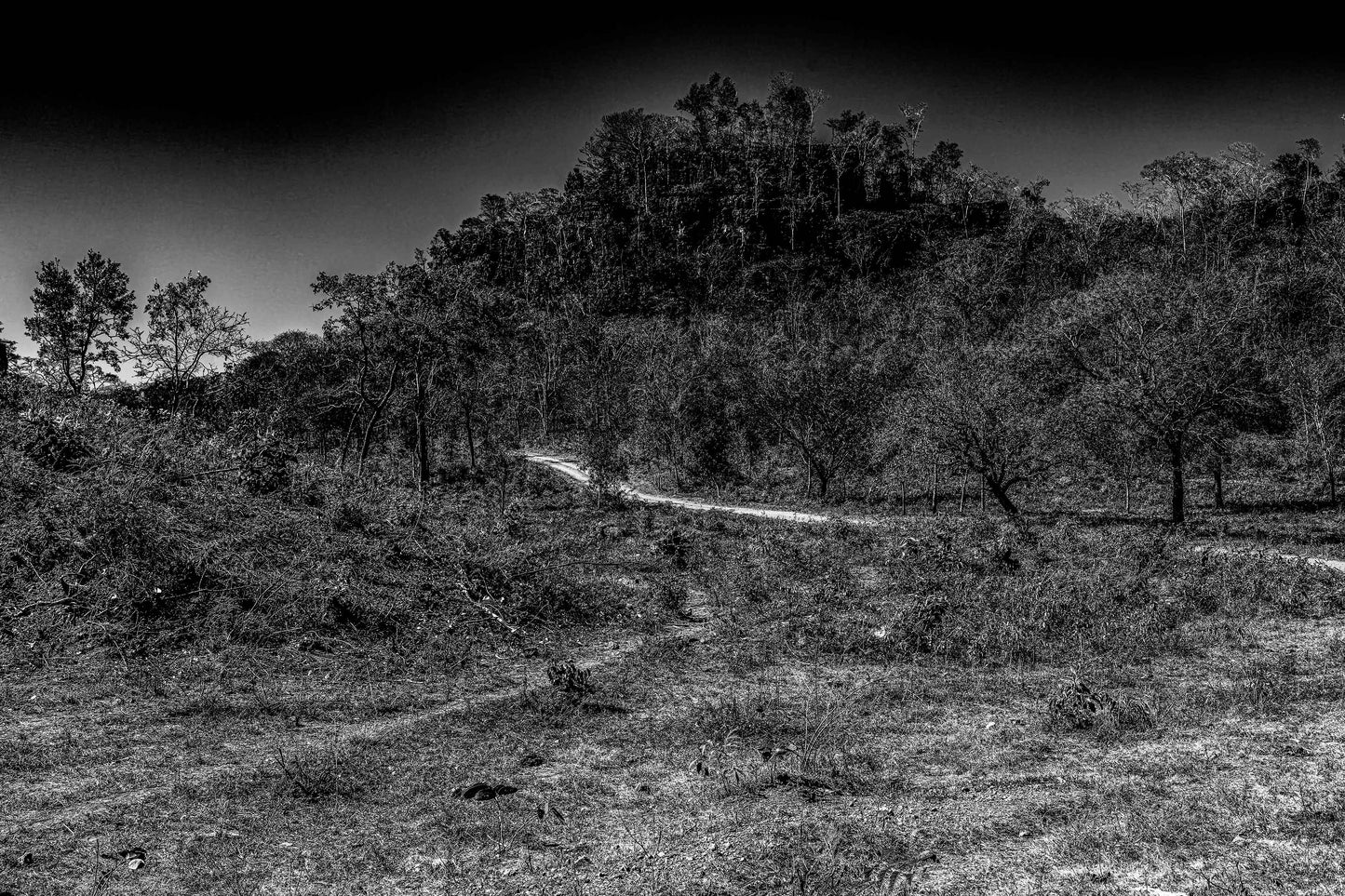 Parque Terra Ronca - Paredão da Angélica