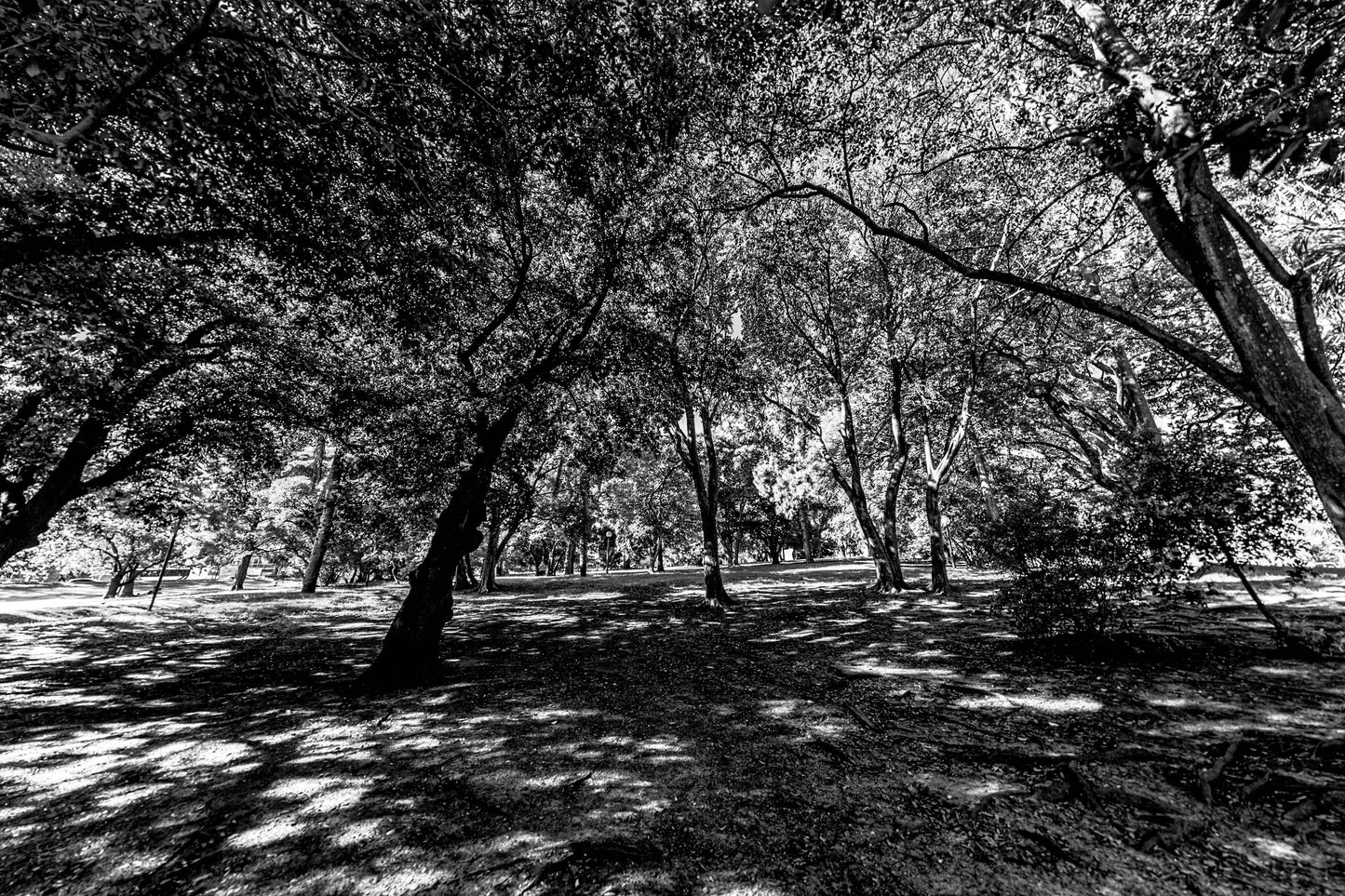 Montevidéu - Parque Jose Batle y Ordonez