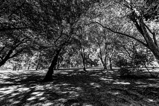 Montevidéu - Parque Jose Batle y Ordonez