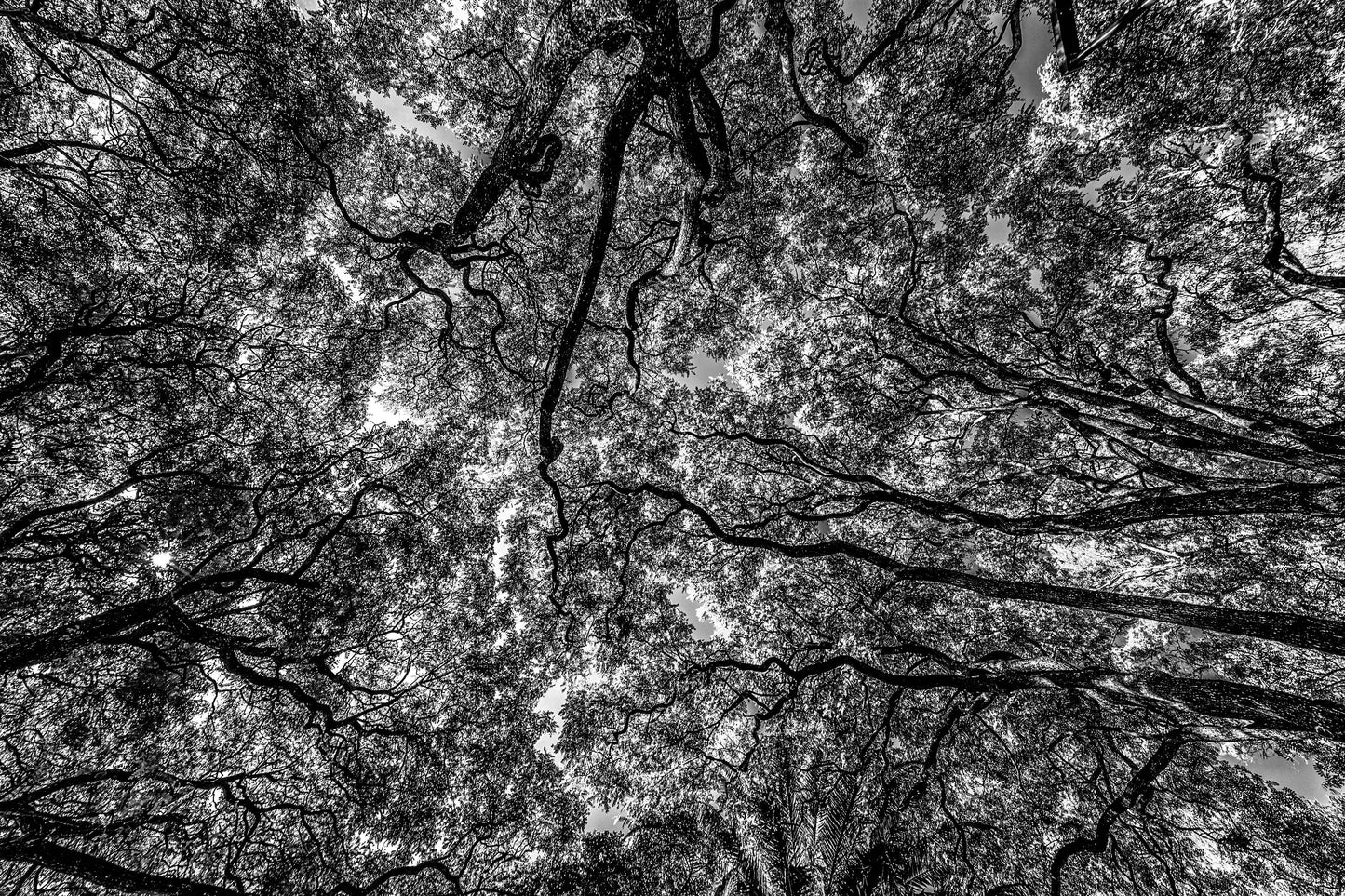 Montevidéu - Parque Rodo