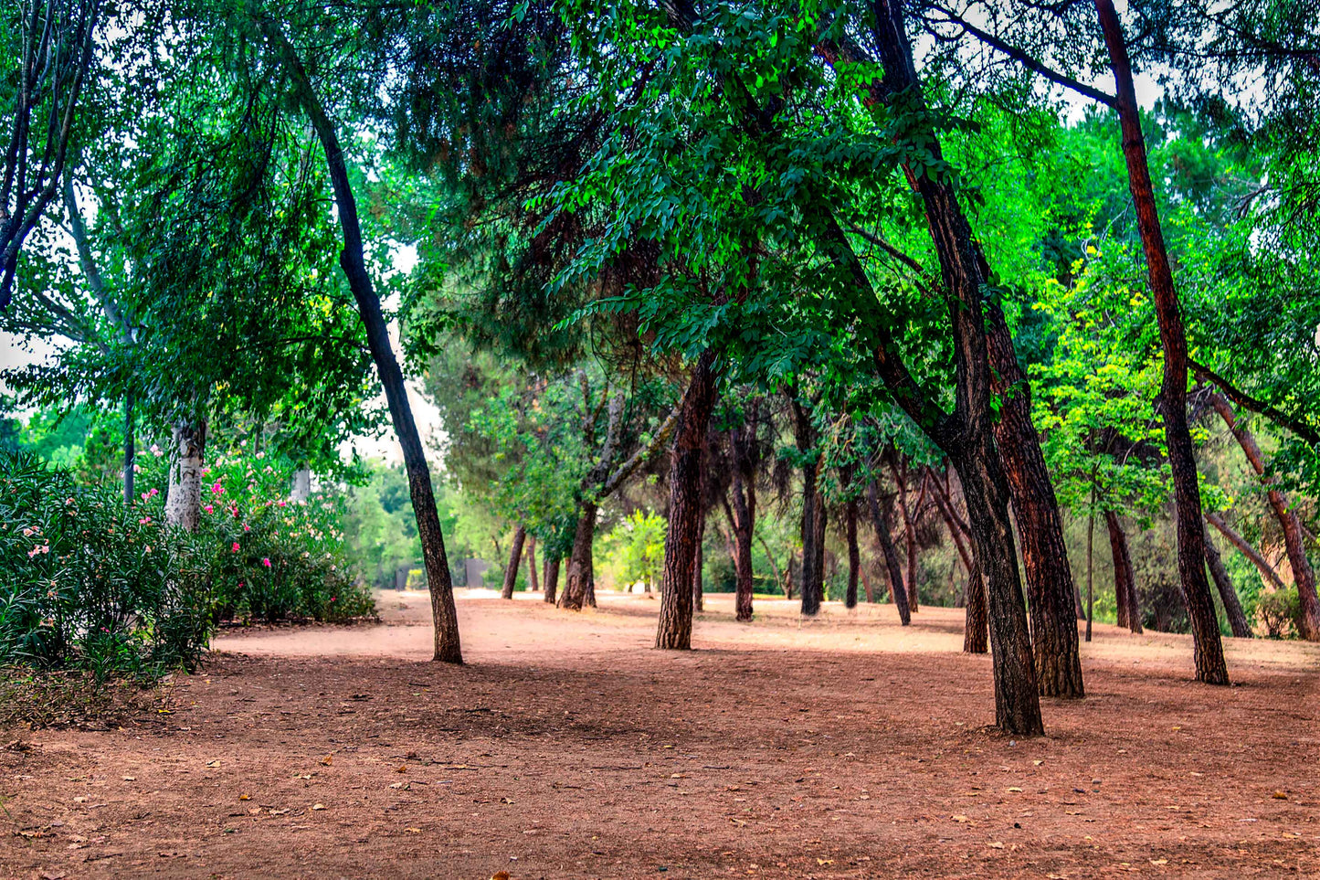 Madrid - Parque El retiro 01