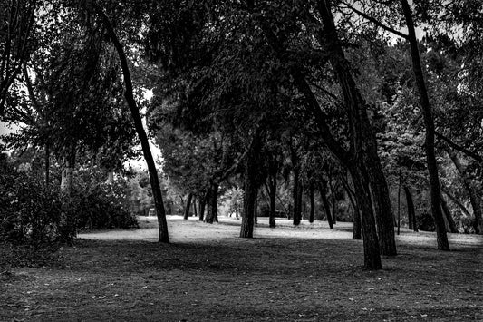 Madrid - Parque del Lago