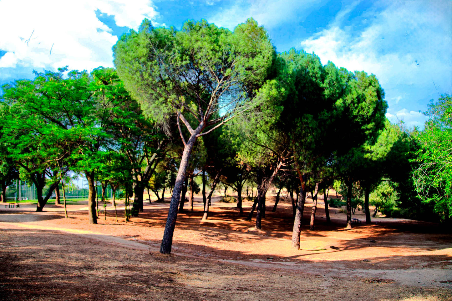 Madrid - Parque El retiro 02