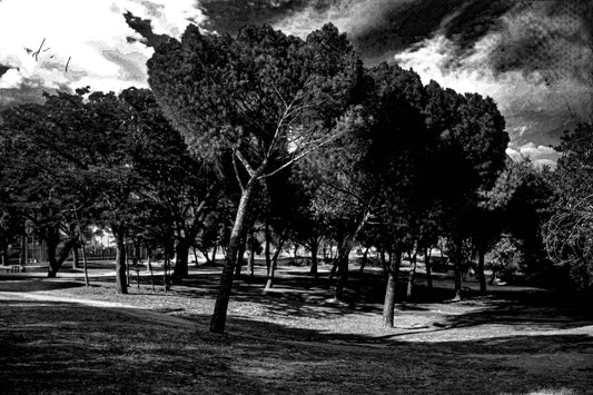 Madrid - Parque del Lago 2