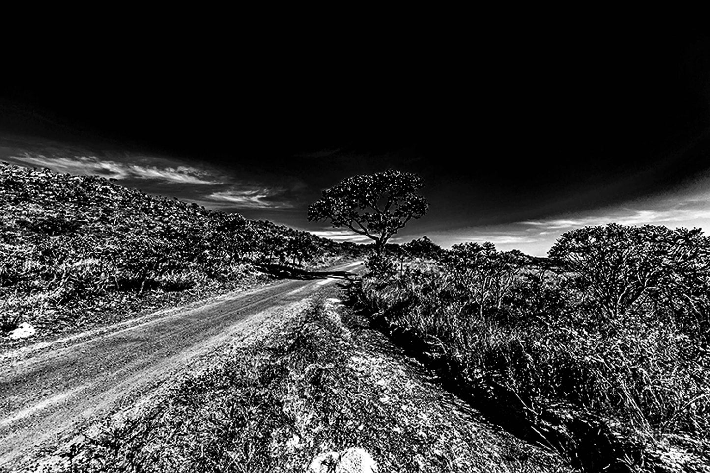 Parque dos Pirineus - Estrada