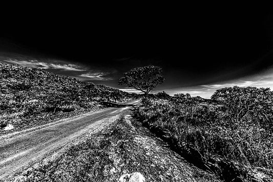Parque dos Pirineus - Estrada