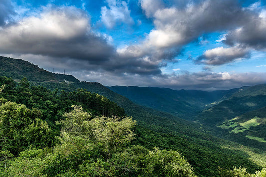 Rio Grande do Sul 01