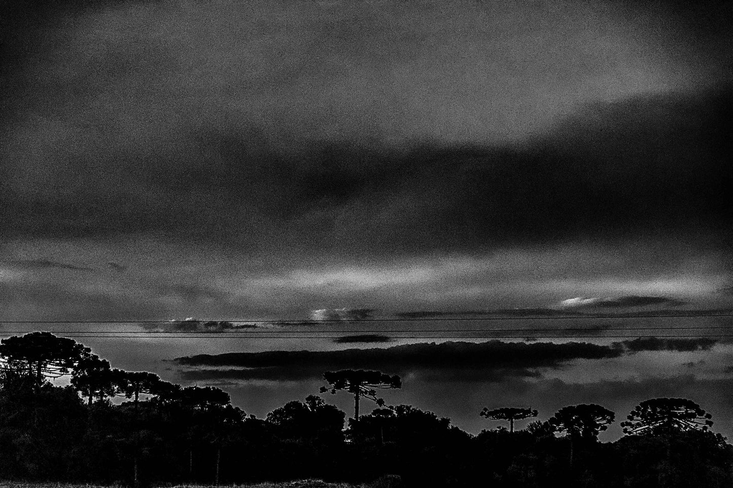 Rio Grande do Sul 03
