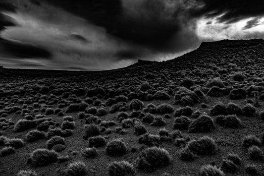 Parque Nacional da Patagônia - Ruta Escénica 1