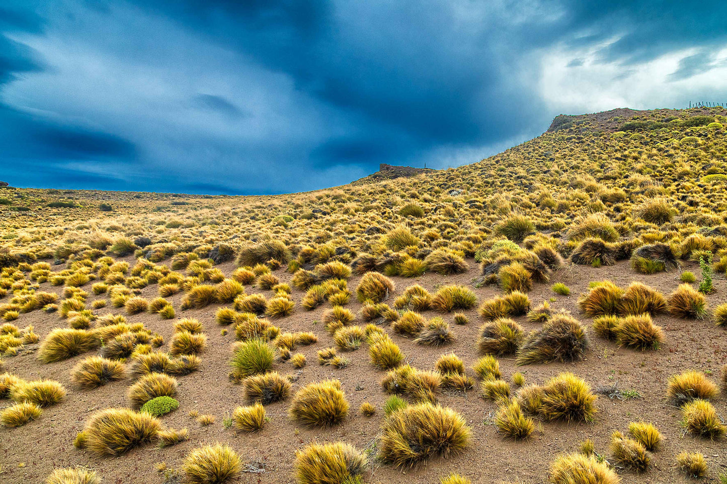 Parque Nacional da Patagônia - Ruta Escenica 1