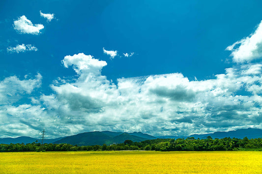 Santa Catarina 01