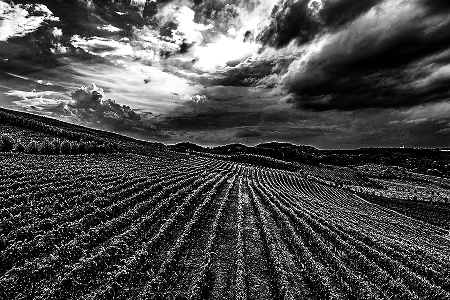 Vinicolas - Spa do Vinho