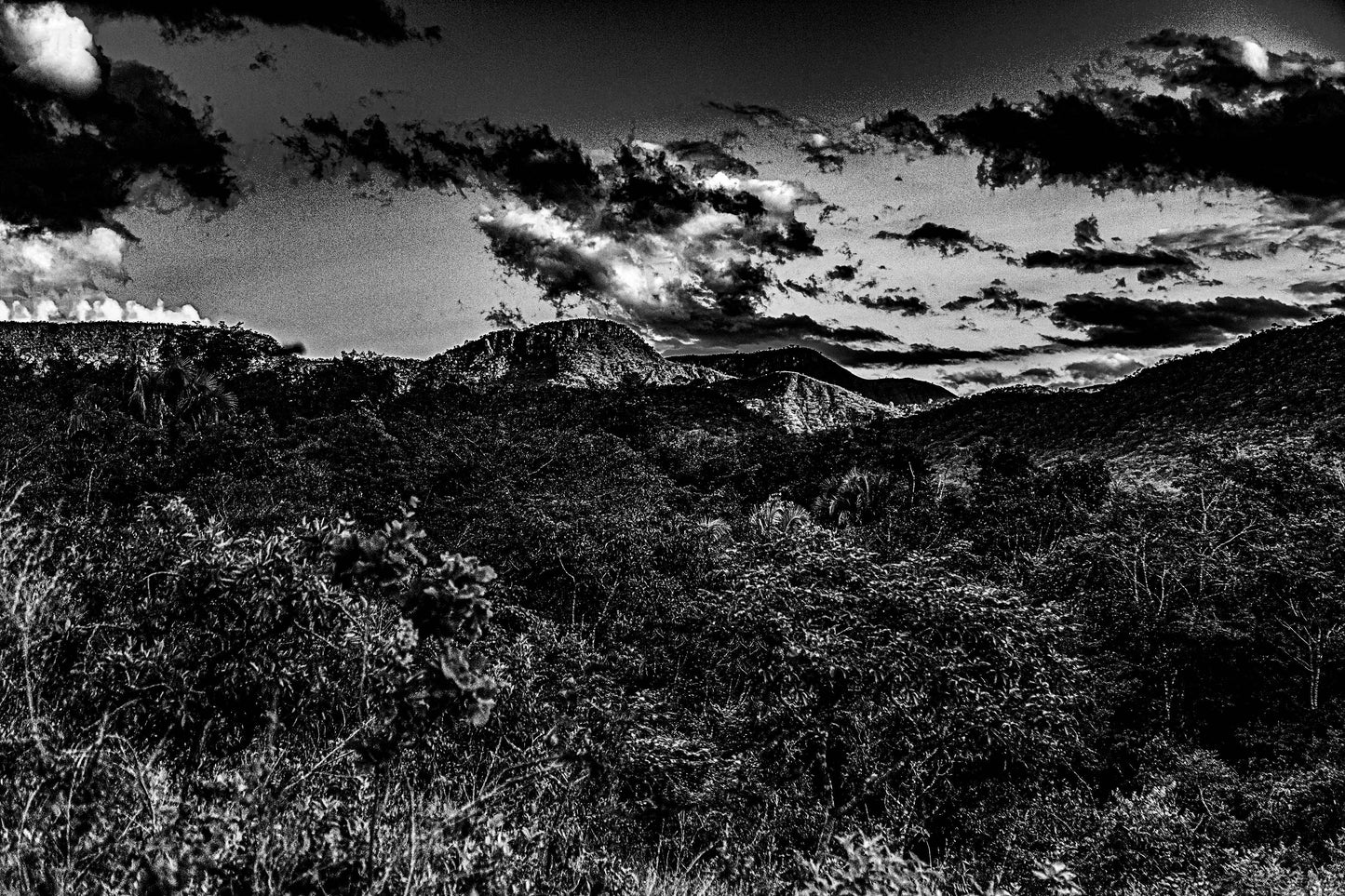 Chapada dos Veadeiros - Syama