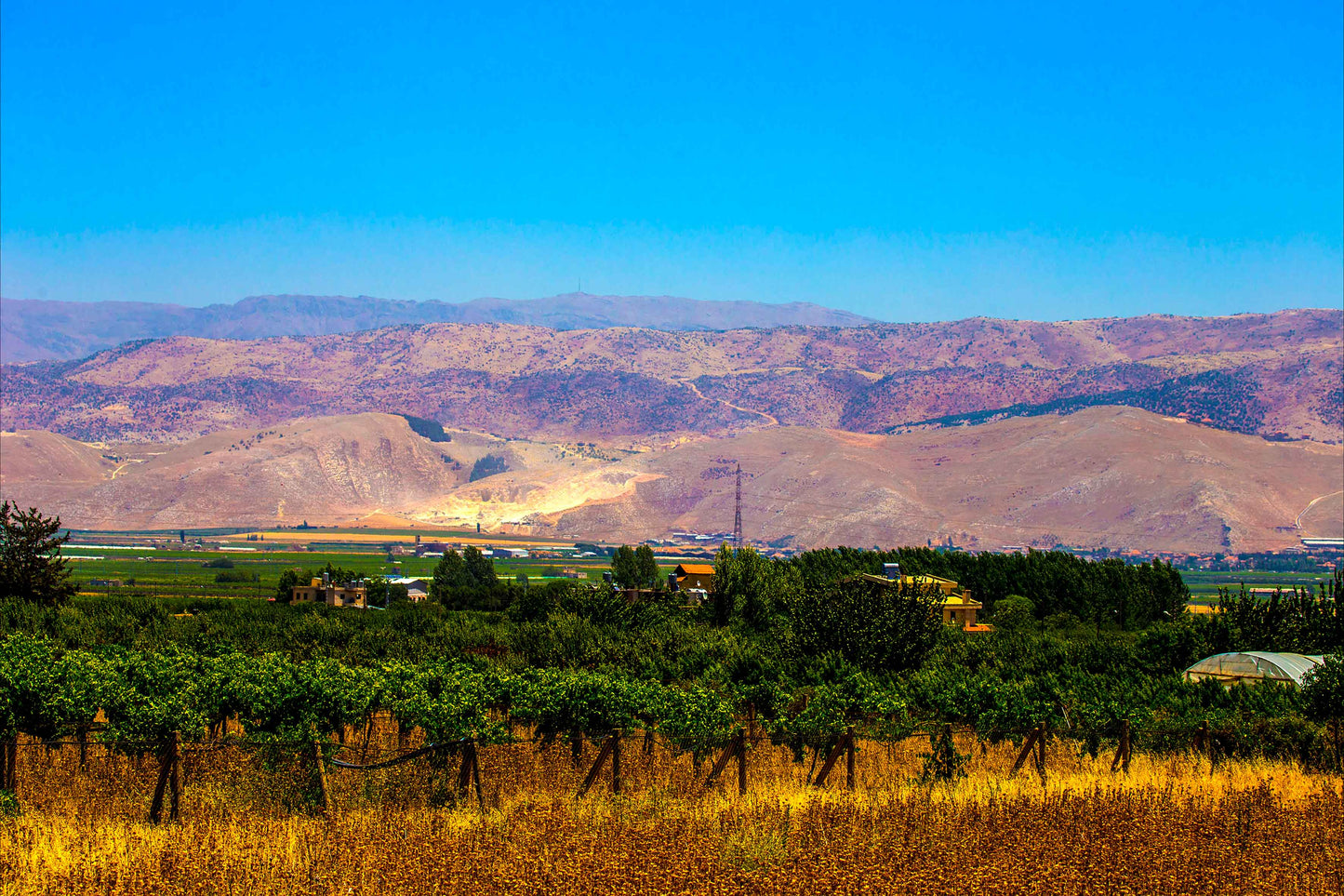 Libano - Zahle