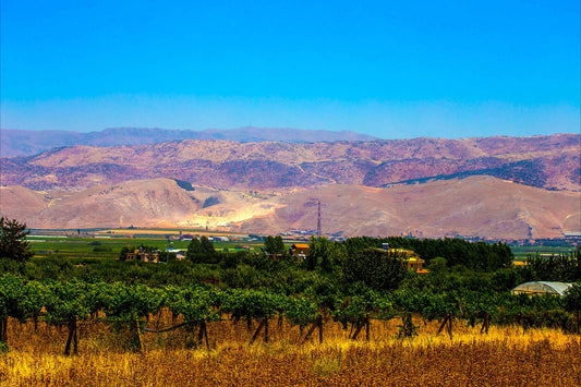 Libano - Zahle